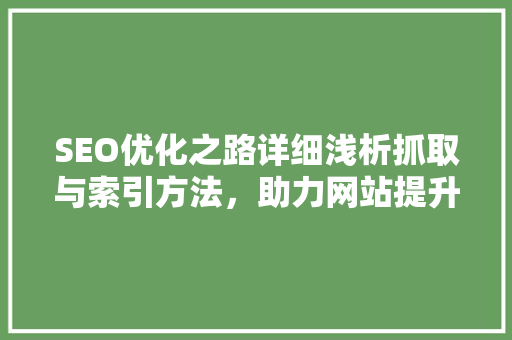 SEO优化之路详细浅析抓取与索引方法，助力网站提升排名