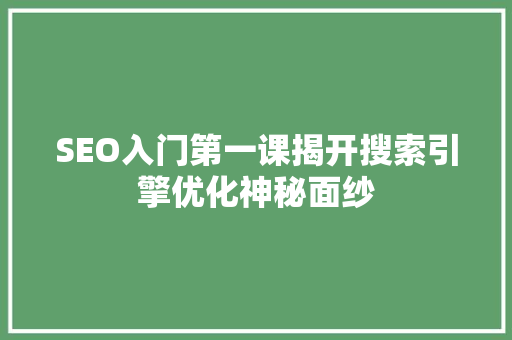 SEO入门第一课揭开搜索引擎优化神秘面纱