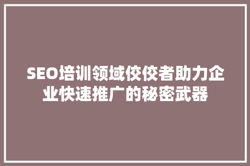 SEO培训领域佼佼者助力企业快速推广的秘密武器
