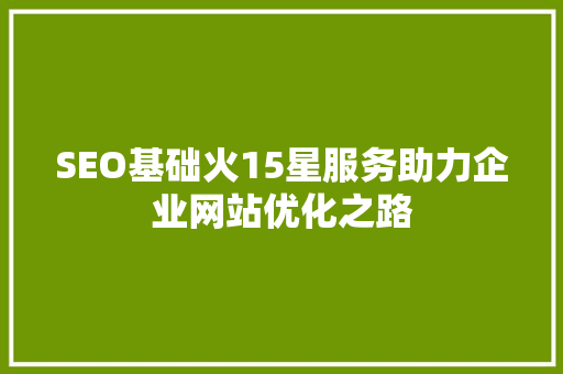 SEO基础火15星服务助力企业网站优化之路