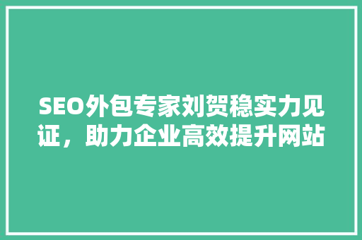 SEO外包专家刘贺稳实力见证，助力企业高效提升网站排名