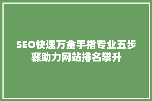 SEO快速万金手指专业五步骤助力网站排名攀升