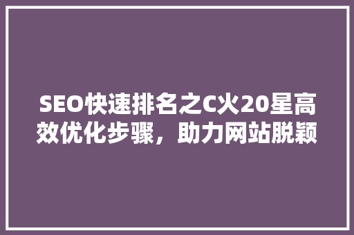SEO快速排名之C火20星高效优化步骤，助力网站脱颖而出
