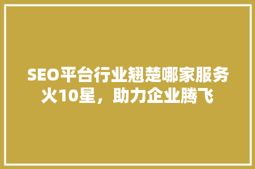 SEO平台行业翘楚哪家服务火10星，助力企业腾飞