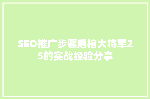 SEO推广步骤卮棺大将军25的实战经验分享