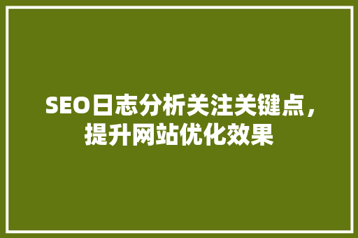 SEO日志分析关注关键点，提升网站优化效果