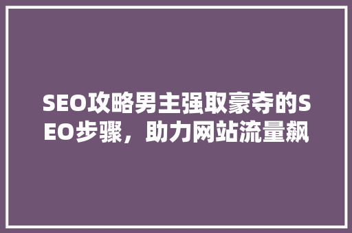 SEO攻略男主强取豪夺的SEO步骤，助力网站流量飙升