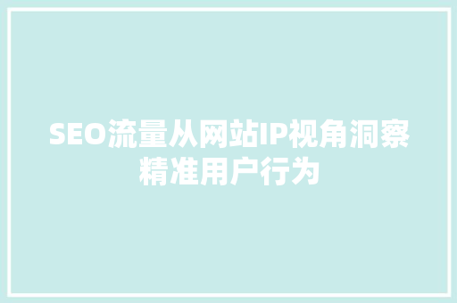 SEO流量从网站IP视角洞察精准用户行为