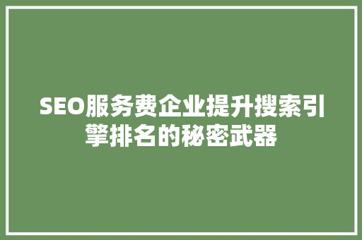 SEO服务费企业提升搜索引擎排名的秘密武器