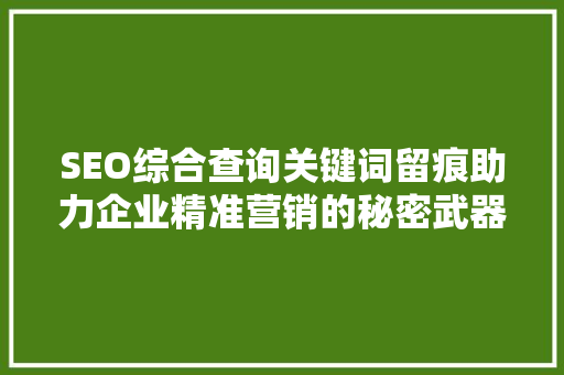 SEO综合查询关键词留痕助力企业精准营销的秘密武器