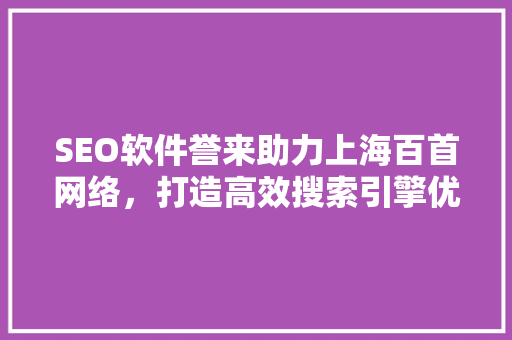 SEO软件誉来助力上海百首网络，打造高效搜索引擎优化步骤