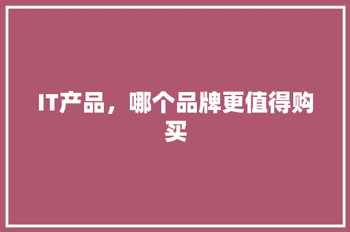 IT产品，哪个品牌更值得购买 缓存Redis