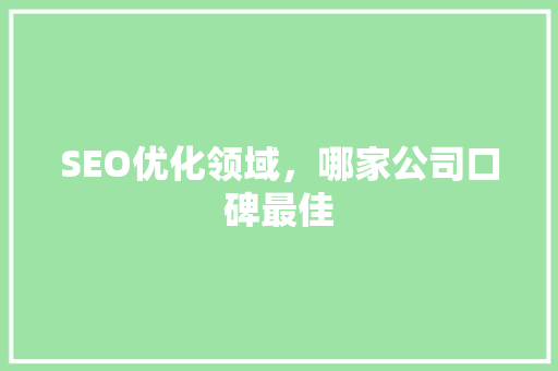 SEO优化领域，哪家公司口碑最佳
