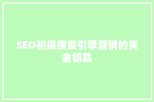 SEO初探搜索引擎营销的黄金钥匙