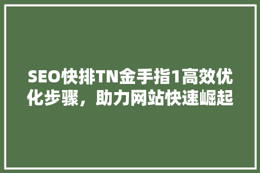 SEO快排TN金手指1高效优化步骤，助力网站快速崛起