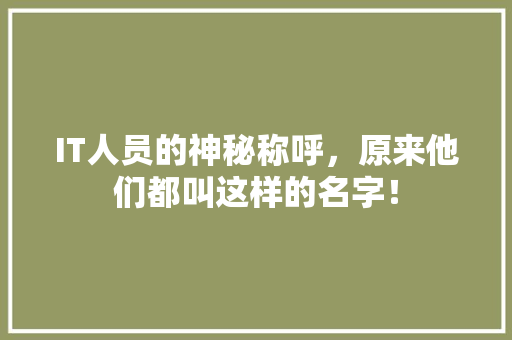 IT人员的神秘称呼，原来他们都叫这样的名字！
