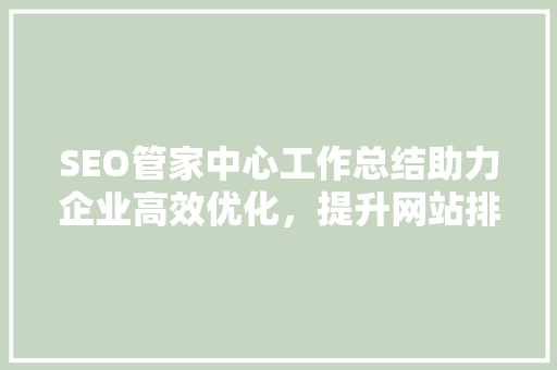SEO管家中心工作总结助力企业高效优化，提升网站排名