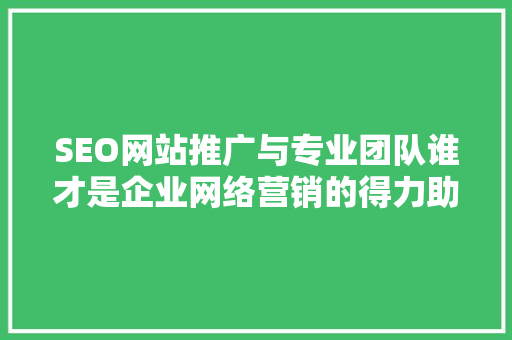SEO网站推广与专业团队谁才是企业网络营销的得力助手