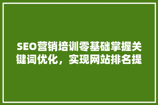 SEO营销培训零基础掌握关键词优化，实现网站排名提升