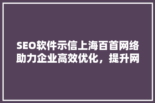 SEO软件示信上海百首网络助力企业高效优化，提升网站排名