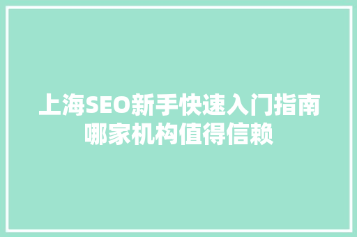 上海SEO新手快速入门指南哪家机构值得信赖