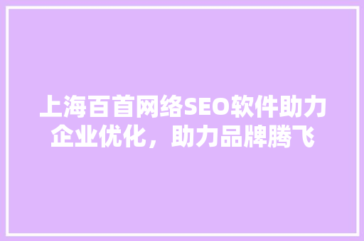 上海百首网络SEO软件助力企业优化，助力品牌腾飞