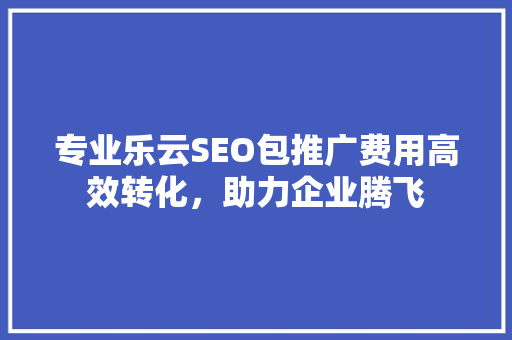 专业乐云SEO包推广费用高效转化，助力企业腾飞