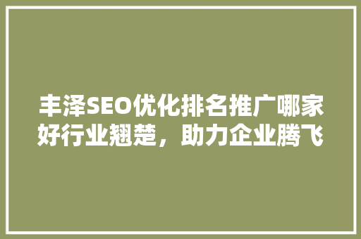 丰泽SEO优化排名推广哪家好行业翘楚，助力企业腾飞