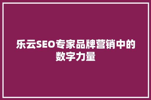 乐云SEO专家品牌营销中的数字力量