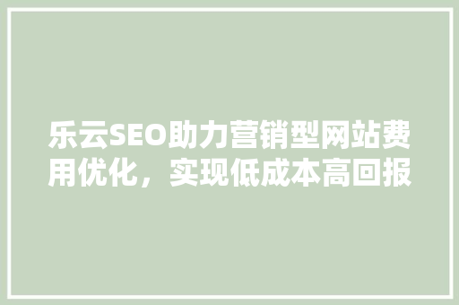 乐云SEO助力营销型网站费用优化，实现低成本高回报