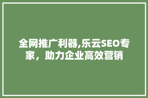 全网推广利器,乐云SEO专家，助力企业高效营销