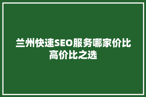 兰州快速SEO服务哪家价比高价比之选