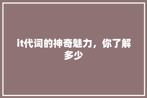 it代词的神奇魅力，你了解多少 商务信函