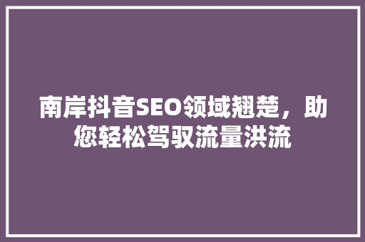 南岸抖音SEO领域翘楚，助您轻松驾驭流量洪流