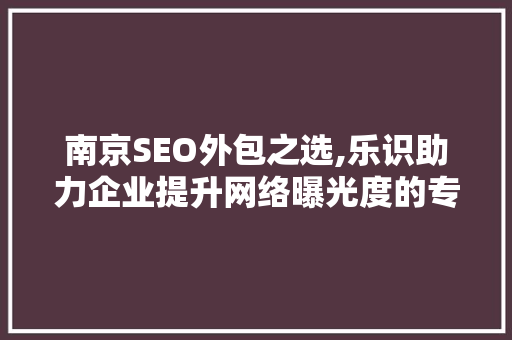 南京SEO外包之选,乐识助力企业提升网络曝光度的专业团队
