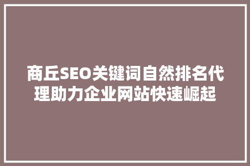 商丘SEO关键词自然排名代理助力企业网站快速崛起