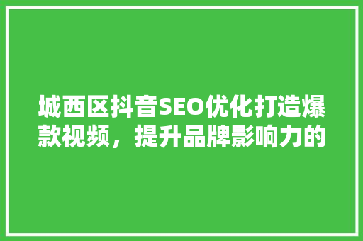 城西区抖音SEO优化打造爆款视频，提升品牌影响力的秘密武器