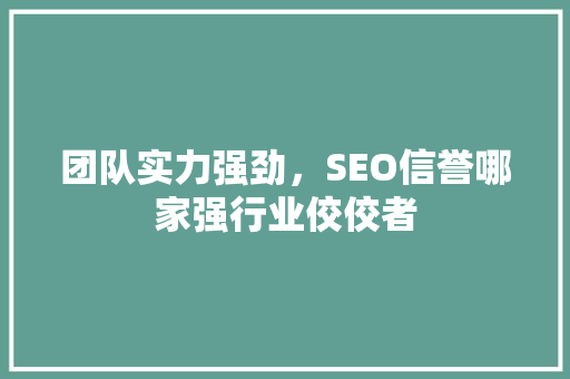 团队实力强劲，SEO信誉哪家强行业佼佼者