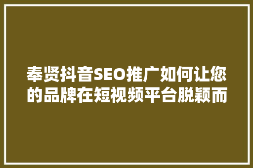 奉贤抖音SEO推广如何让您的品牌在短视频平台脱颖而出