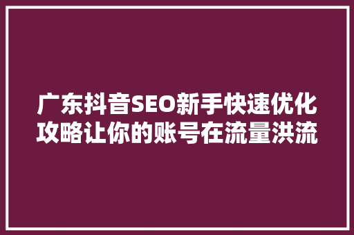 广东抖音SEO新手快速优化攻略让你的账号在流量洪流中脱颖而出