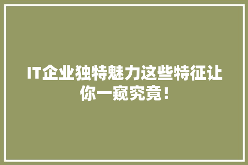 IT企业独特魅力这些特征让你一窥究竟！ 项目报告