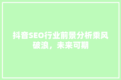 抖音SEO行业前景分析乘风破浪，未来可期