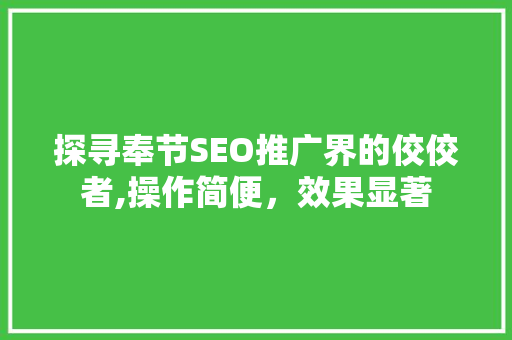 探寻奉节SEO推广界的佼佼者,操作简便，效果显著