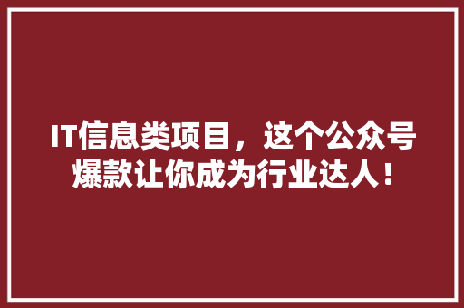 IT信息类项目，这个公众号爆款让你成为行业达人！ 前端技术