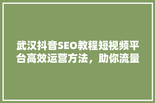 武汉抖音SEO教程短视频平台高效运营方法，助你流量翻倍