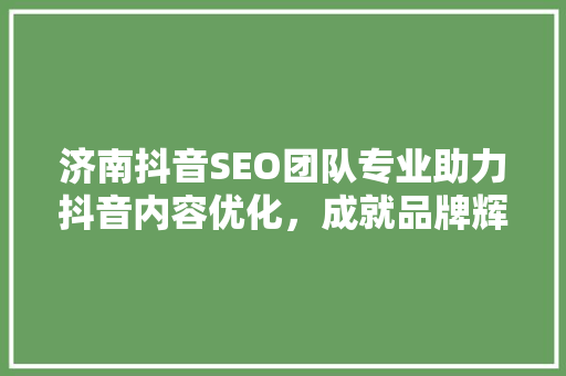 济南抖音SEO团队专业助力抖音内容优化，成就品牌辉煌