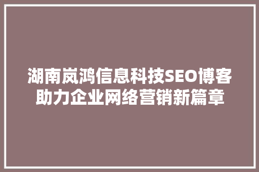 湖南岚鸿信息科技SEO博客助力企业网络营销新篇章