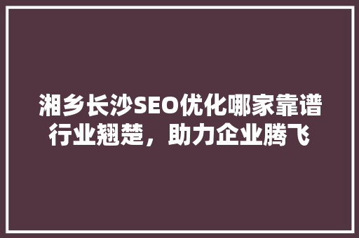 湘乡长沙SEO优化哪家靠谱行业翘楚，助力企业腾飞