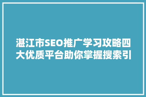 湛江市SEO推广学习攻略四大优质平台助你掌握搜索引擎优化方法