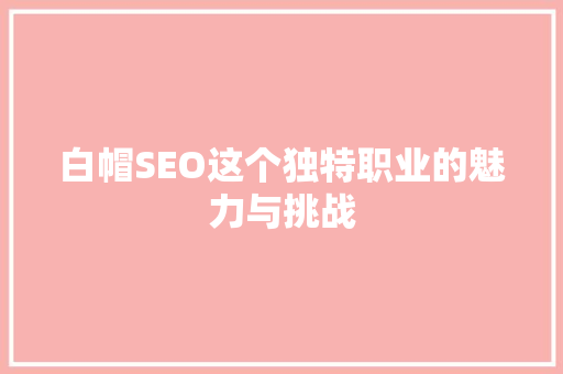 白帽SEO这个独特职业的魅力与挑战